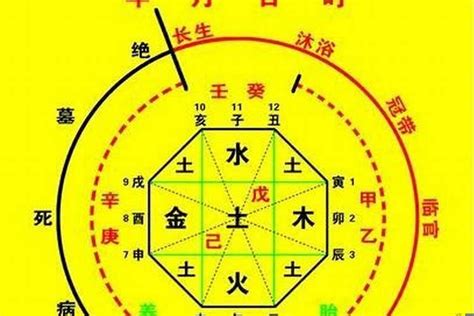 怎麼查八字|生辰八字算命、五行喜用神查詢（免費測算）